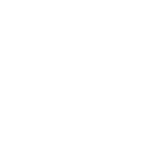 AVIATION COMPANIES WE WORK WITH