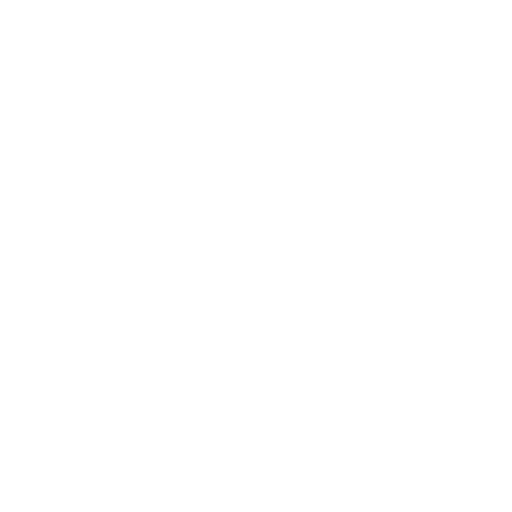 VIP assistances completed